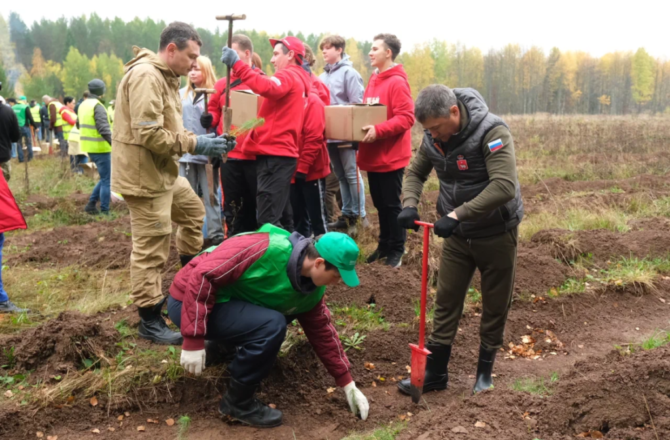 В Пермском крае в октябре стартует новая экологическая инициатива – «День защиты лесов»